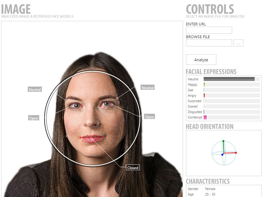 Analyzed Image by Face Models